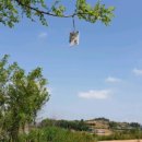 용동1길 이미지