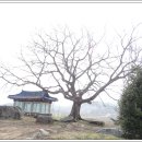 양건당충효정려각 이미지