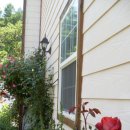 장미 펜션 이미지