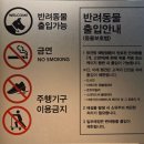 몰리스펫샵 스타필드 고양점 펫뷰티 | [스타필드 고양] 반려견 동반 가능! 펫 유모차 무료대여 / 주차 / 입장 규정 총정리