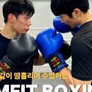 림핏복싱 이미지