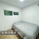 [양양 애견동반 펜션 ] 달팽이펜션 조용한 숲속 개울가 산책