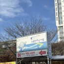 [노량진] 수산시장 청양수산 방어 포장 후기