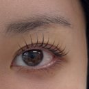 래쉬페이지 | 송파속눈썹펌 래쉬페이지 클리닉펌 후기 맞춤컬 · 눈매분석 · 속눈썹 영양제 추천까지