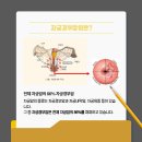 압구정연세산부인과의원 이미지