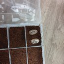 부여부화장 이미지