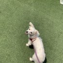 컴포즈커피다산현대스페이스점