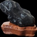 황용반점 이미지