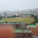 채움부동산공인중개사사무소 이미지