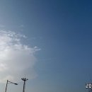 씨스포빌