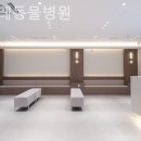 더 포레 동물병원 네이버블로그