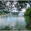 다온여행사 이미지