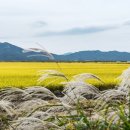 마하나임영농조합법인 이미지