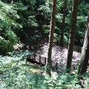 국립대관령치유의숲 Daum카페