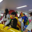 용인대 정심태권도 이미지