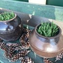 군산 보리터 이미지