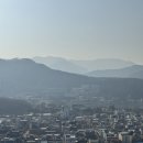 플라워 홈 드레싱 | D+699~701 이사 끝!!!! 우래기 700일💙