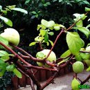 열린자리 이미지