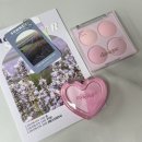 아라종합화장품 | [유성 컬러온더비]대전 퍼스널 컬러 진단 솔직 후기!💖