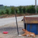 야곱축사 이미지