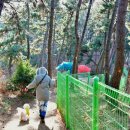 숲속파도소리 이미지