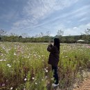 풍개참숯장어 | [10월 일상 上] 그의 이름은 네 귀퉁이가 닳은 채, 작은 지갑 안에서 몇 개 되지 않는 동전들과 함께...