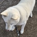 연화경로당 이미지