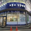 오블리 동물병원 이미지