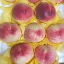 청수농장 이미지