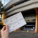 마이딩고 | 2025 딩고 킬링보이스 뮤직 콘서트 후기