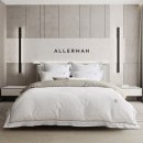 알레르망 이미지