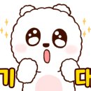 스테이 이공 이미지