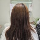 은비미용실 | 천천동 미용실 테슬컷 후기 서빈헤어 수원천천본점 은비 부원장님 추천 🤗 수원 미용실 화서동 미용실