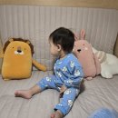 보라매동-16 네이버블로그