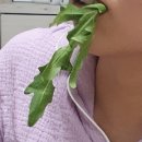 윤정이네국밥 네이버블로그