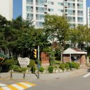 조은맘약국 이미지