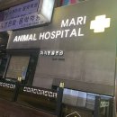 마리동물병원 이미지
