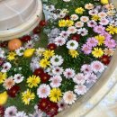 로데오 분수공원 이미지