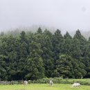 수곡로57번길(2-162) | 제주 개오름에서 직접 촬영한 셀프웨딩스냅 후기와 꿀팁 (추천하지 않는 이유)