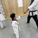 새연태권도 이미지