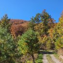 석탄(중석) 이미지