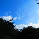 용진상회 이미지