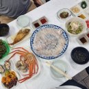 이천활어회쎈타 | 주문진횟집 추천 영광경기이천 복어회 도미회 광어회 한상 푸짐하게 먹은 주문진시장맛집 후기