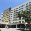 TI FITNESS | 올랜도 여행 :: 신축 호텔 'AC Hotel by Marriott Orlando Lake Buena Vista' 추천 후기💖