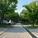 화랑숯불바베큐 | 안산 화랑오토캠핑장 오토캠핑 E-3 사이트 6월 솔직 후기, 명당 꿀팁과 숯불구이 먹방