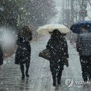 함박눈