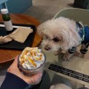 한라비발디 1단지(아) 이미지