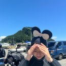 낭그늘 펜션 | 제주 스쿠버다이빙 추천 더퍼플스쿠버다이빙 인생 첫 다이빙