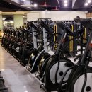 휘트니스 더 레이 이미지