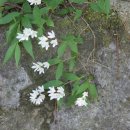 참어울림 이미지